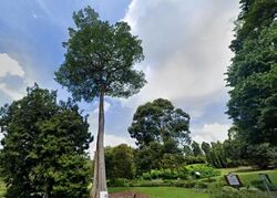 Capitol Park (D11), Detached #619481911